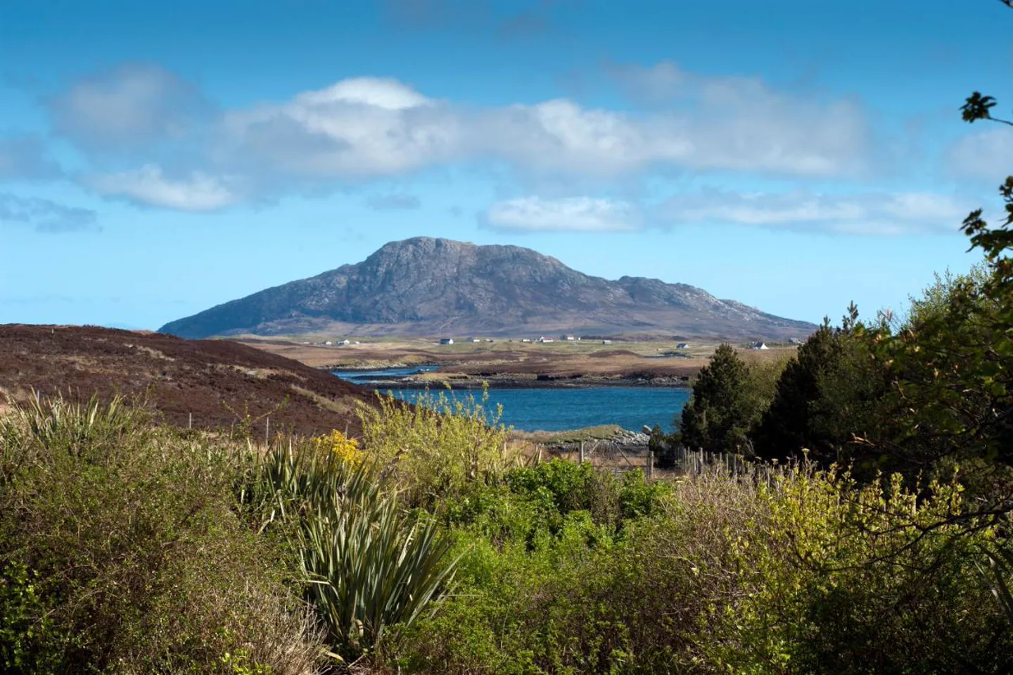 View from the summit above Langass Lodge, North Uist