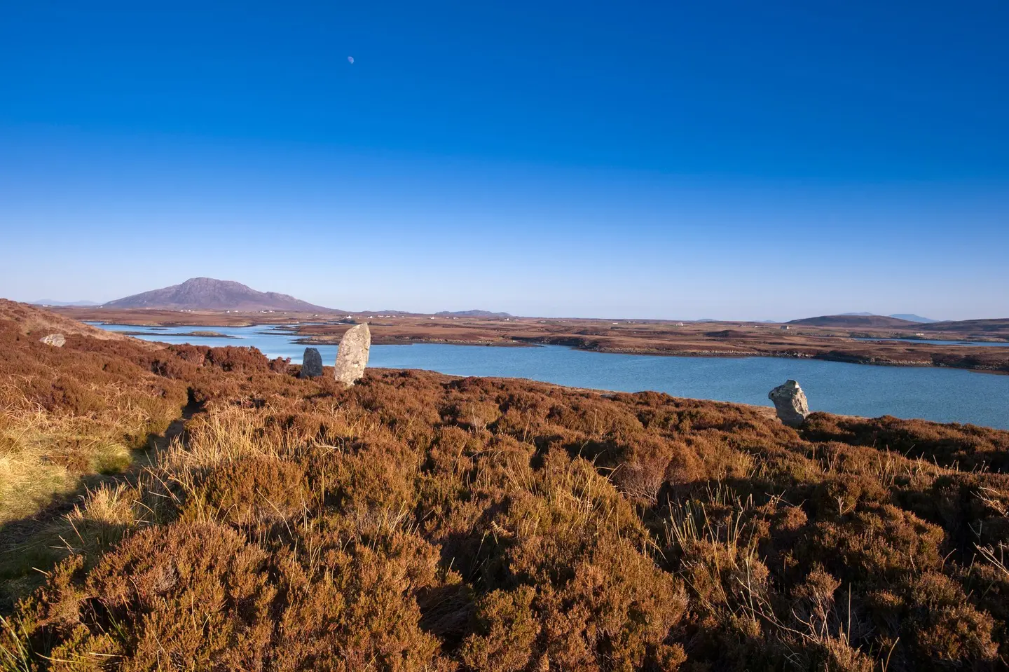 The stone circle near Langass Lodge, North Uist